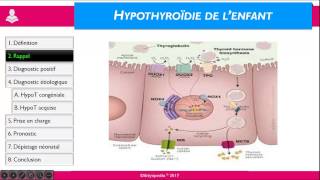 Hypothyroïdie de l’enfant [upl. by Rammus]