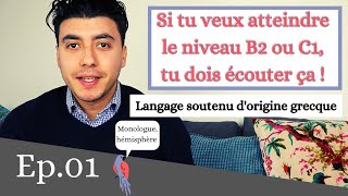 Comment parler français dans un langage soutenu  French Lessons [upl. by Redd]