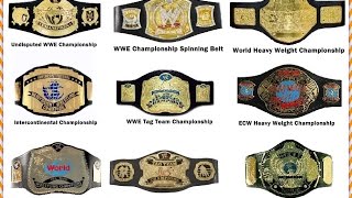 Every WWE World Heavyweight Champion 1963present  WWE Championship belt History [upl. by Mota683]