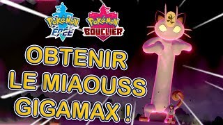 Obtenir le Miaouss Gigamax sur Pokémon Épée  Bouclier [upl. by Lemrahc508]