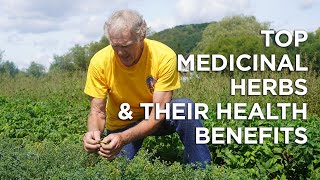 Top Medicinal Herbs Medicinal Uses and Health Benefits [upl. by Jared]