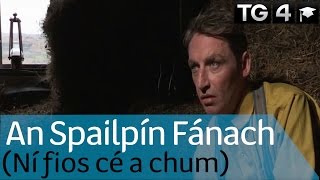 An Spailpín Fánach  Dánta  TG4 Foghlaim [upl. by Lovich]