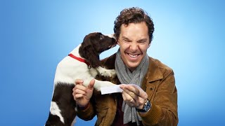 Benedict Cumberbatch Plays With Puppies While Answering Fan Questions [upl. by Nuaj]