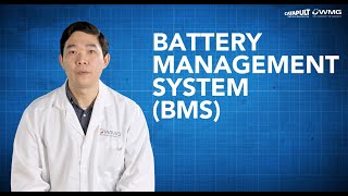 Electric vehicles  Episode 4  Battery Management Systems [upl. by Elleirad949]