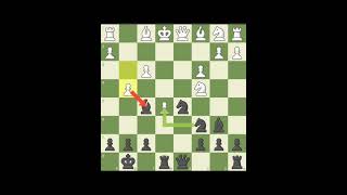 White with kings Pawn Opening Leonardis variationBlack with Petrovs Defensechessgamesbeginner [upl. by Cerellia]