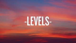 1 HOUR Avicii  Levels Lyrics [upl. by Lada]