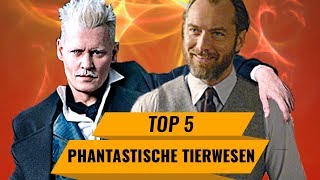 Phantastische Tierwesen Zusammenfassung  Wo sie zu finden sind amp Grindelwalds Verbrechen  Recap [upl. by Mcclelland378]