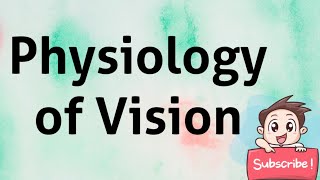 PHYSIOLOGY OF VISION [upl. by Ollie183]