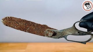 Scissors Restoration Remove Rust  Golden Handle  Polished Blade BS Hands [upl. by Enyrehtac]