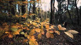 Castlewellan Mountain Bike Trails [upl. by Krigsman]