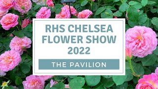 RHS Chelsea Flower Show 2022 The Pavilion Exhibition Displays [upl. by Adnalohs]