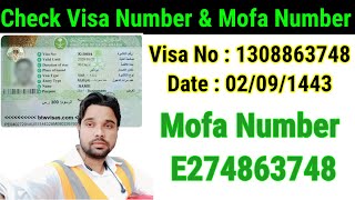 mofa number kaise check karen  how to check mofa number  saudi ka visa number kaise check kare [upl. by Morgenthaler290]