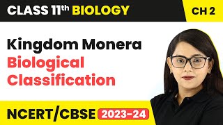 Kingdom Monera  Biological Classification  Class 11 Biology Chapter 2  NCERTCBSE [upl. by Mossman]