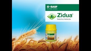 How does BASF Zidua Work Hindi [upl. by Enytsirhc]