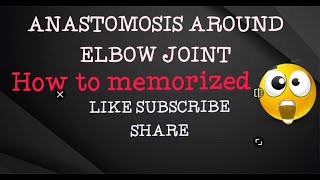 Anastomosis Around Elbow Joint  Simplest way to memorized  MUST WATCH  Hit the Bell Icon please [upl. by Linette]