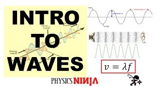 Introduction to Waves [upl. by Cadel116]