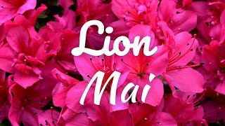 ♌ LION ♌ Mai  Avancez en réfléchissant à des questions existentielles et en acceptant les réponses [upl. by Siduhey318]