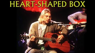 Nirvana  HeartShaped Box MTV Unplugged [upl. by Augustina163]