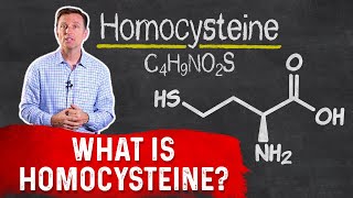 What Is Homocysteine – Dr Berg [upl. by Veron]