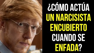 ¿Cómo expresan los NARCISISTAS ENCUBIERTOS la IRA NARCISISTA [upl. by Nealy470]