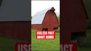 A USELESS FACT ABOUT BARNS shorts [upl. by Yelrak]