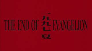 Neon Genesis Evangelion Death amp Rebirth Ending [upl. by Vasta]