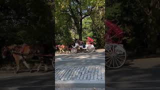 Carriage ride in Central Park [upl. by Keeton]