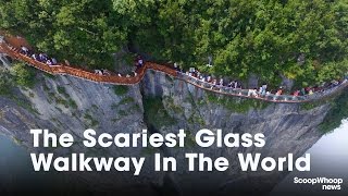 Dare To Walk On This Scary Glass Walkway [upl. by Hajidak770]