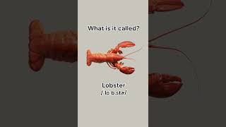 Can you name these seafood learnenglish dailyenglish english vocabulary seafood learn [upl. by Akiemahs]