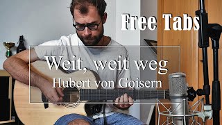 Weit weit weg  Hubert von Goisern amp Die Alpinkatzen  Fingerstyle Guitar Cover [upl. by Ahsinaj868]