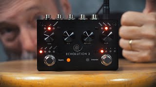 Pigtronix Echolution 3 A Sweet Stereo Delay [upl. by Ardnasxela]