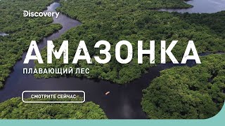 Амазонка плавающий лес  Неизведанные острова  Discovery Channel [upl. by Heffron]