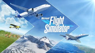 Microsoft Flight Simulator 2020 Tuto Caméra Setting Joystick [upl. by Agnimod160]