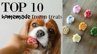 TOP 10 HOMEMADE FROZEN TREATS FOR DOGS [upl. by Raskin856]