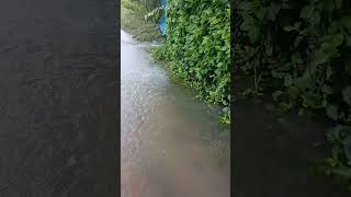 Flood scene  nature of beauty shorts [upl. by Eronel]