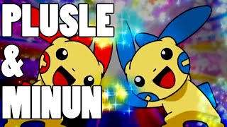 How To Use Plusle and Minun Plusle amp Minun Strategy Guide ORAS  XY [upl. by Yssak238]