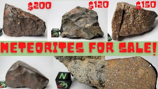 Meteorites for Sale Unclassified  Buy Real Meteorites from Space Three NWA Chondrite Meteorites [upl. by Hinman]