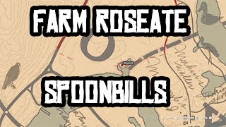 30 SPOONBILL PLUMES Best Location To Farm Exotic Mission RDR2 [upl. by Petras]