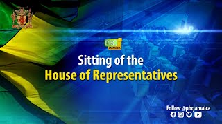 JISTV  Sitting of the House of Representatives [upl. by Aikemet]