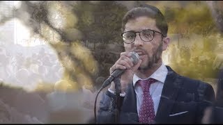 Yossi Abitbol Orchestra  Gorgeous Outdoor Chuppa In Los Angeles [upl. by Noira]