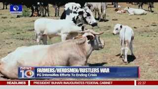 FG Intensifies Efforts To Resolve Farmers Herdsmen Rustlers Crisis [upl. by Jackelyn]