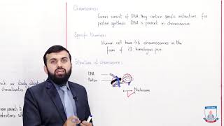 Class 10  Biology  Chapter 15  Lecture 01Genetics inheritence chromosomes  Allied Schools [upl. by Aiym]