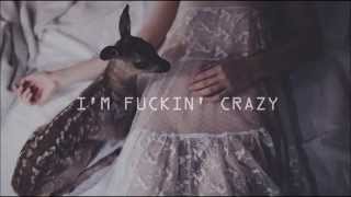 Melanie Martinez  Milk and Cookies lyrics video [upl. by Hi]