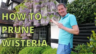 How to prune wisteria for maximum blossom [upl. by Eelah]