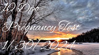 10 DPO Pregnancy Tests 13024 [upl. by Fitz]