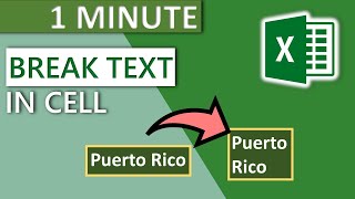 Excel Break Text in Cell Automatically 2020  1 MINUTE [upl. by Beacham]