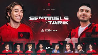 Sentinels vs Tarik Showmatch Powered by Starforge [upl. by Darnoc]