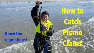 How to Catch Pismo Clams  Clamming Regulations  Game Wardens Inspect Clams [upl. by Yadahs746]