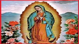 Música del manto de la Virgen de Guadalupe [upl. by Caddric806]