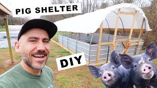 How to BUILD a PIG SHELTER Small Scale  COST [upl. by Agneta]